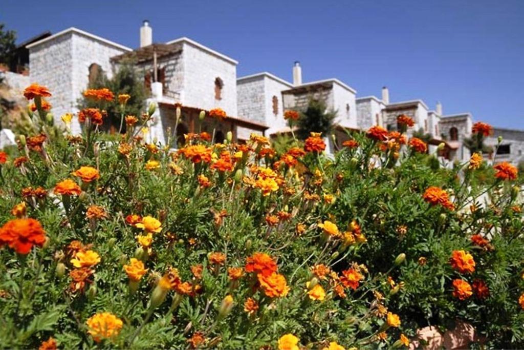 Lefkoritis Resort Askifou Sfakia Petres  Екстер'єр фото