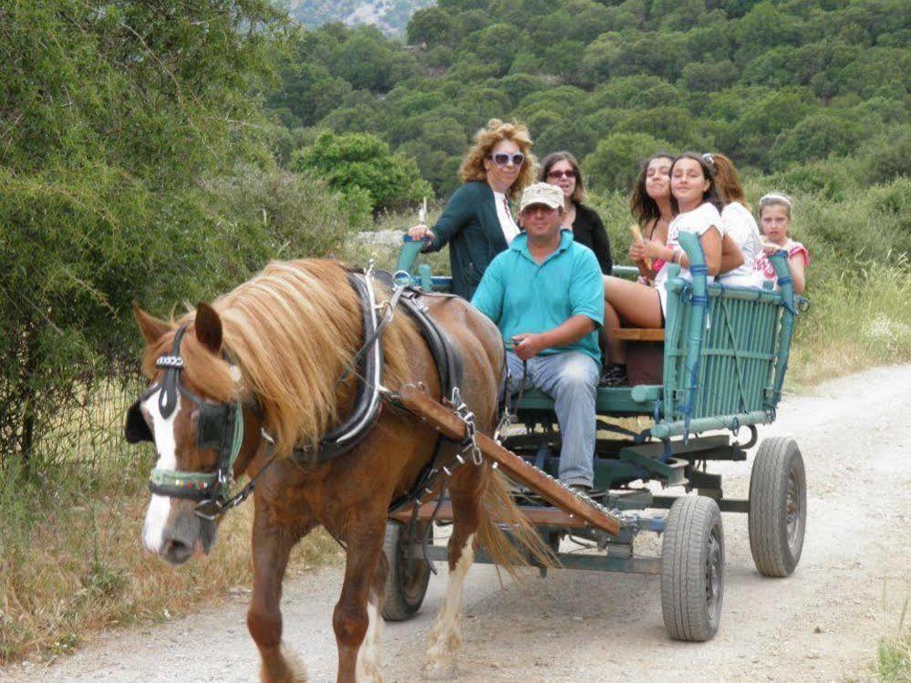 Lefkoritis Resort Askifou Sfakia Petres  Екстер'єр фото